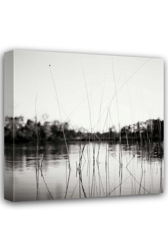 Bob Stefko 15x15 Gallery Wrapped Canvas Wall Art Titled - Water Grass