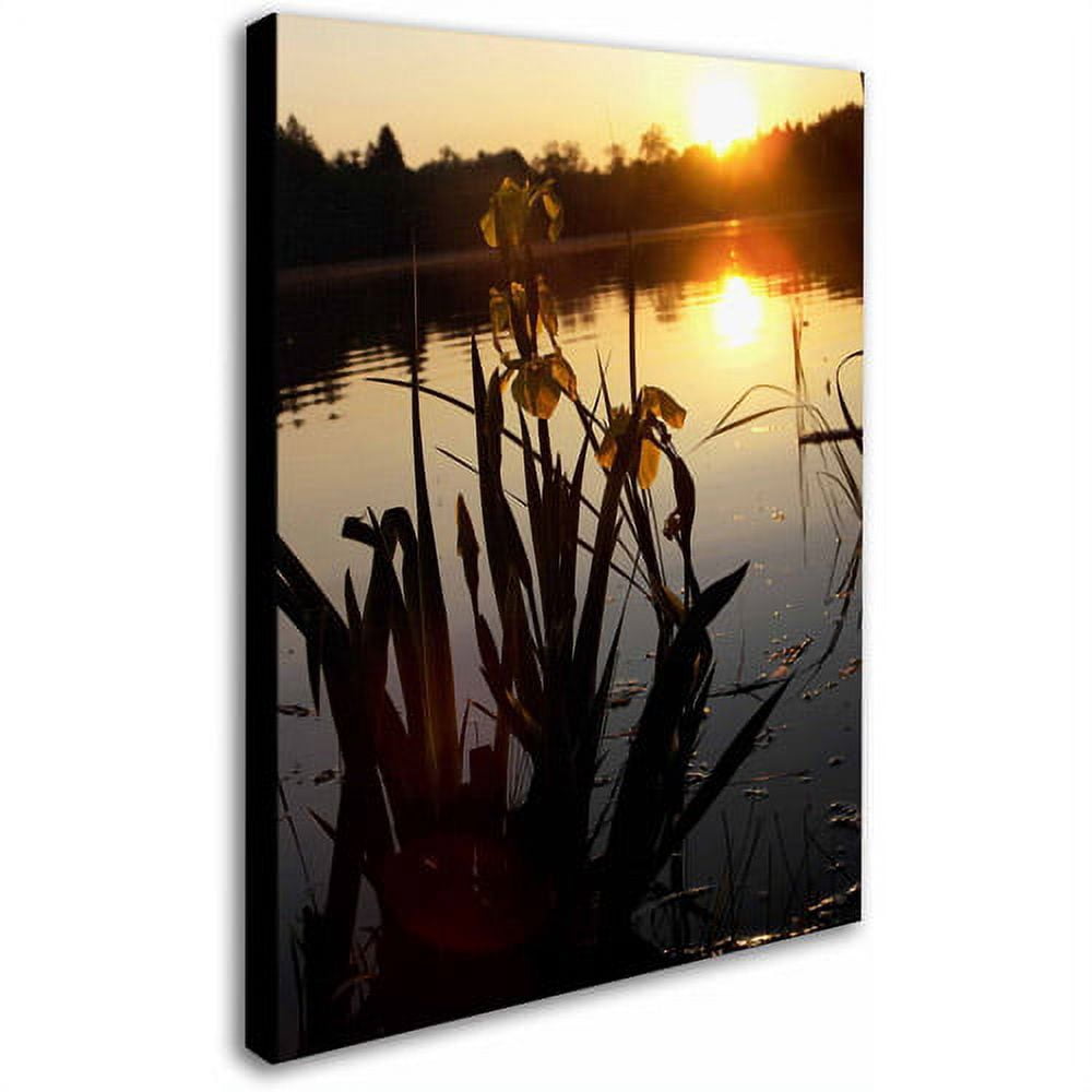 Trademark Fine Art "Reflective Strength" Canvas Art by Monica Fleet
