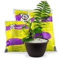 thumbnail image 4 of Premium Gardenera Labs Organic Perlite - Medium/Fine Grade Horticultural Soil Amendment for Indoor & Outdoor Container Plants for Drainage Management and Enhanced Growth - 10 Quart Bag, 4 of 5