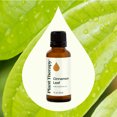 thumbnail image 3 of Plant Therapy Cinnamon Leaf Essential Oil 30 mL (1 oz) 100% Pure, Undiluted, Natural Aromatherpay, 3 of 8