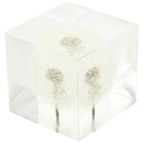 Zcyifa Cube Hemisphere Globe Ornament Dandelions Model Gift Office Home Bar