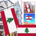 thumbnail image 3 of Lebanon Flag 5 Lebanese People Flag Protest Rally Support Lebanon New U3D8, 3 of 6
