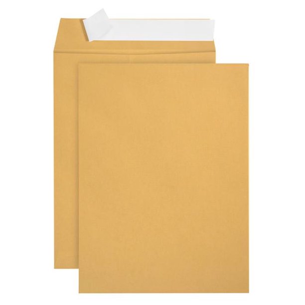Blue Summit Supplies 9X12 Self Seal Envelopes, Golden Brown, 100/box