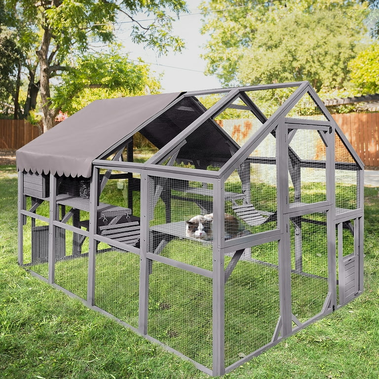Large cat enclosure hotsell