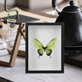 thumbnail image 4 of KAKOWELY Insect Display Case Butterfly Specimen Display Frame Insect Pinning Kit Insect Display Box Butterfly Display Case For Collectings Butterfly And Bugs Butterfly Shadow Boxes,8.7X"X6.65"X1.81", 4 of 5