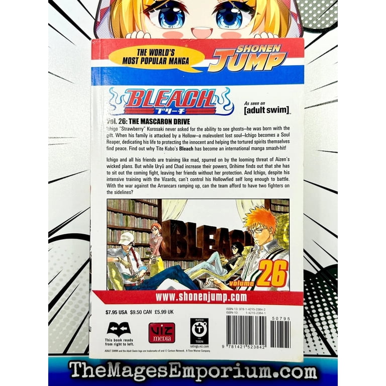 Bleach Bleach, Vol. 26, Book 26, (Paperback) - Walmart.com