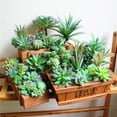 thumbnail image 1 of Flmtop 1Pc Artificial Flower Mini Succulent Plant Wedding Party Home Desk Bonsai Decor, 1 of 8