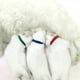 thumbnail image 3 of 12 UdsCollar de identificación para cachorros y gatitosbandas para Collar de identificación de parto Ndcxsfigh Nuevos Originales, 3 of 6