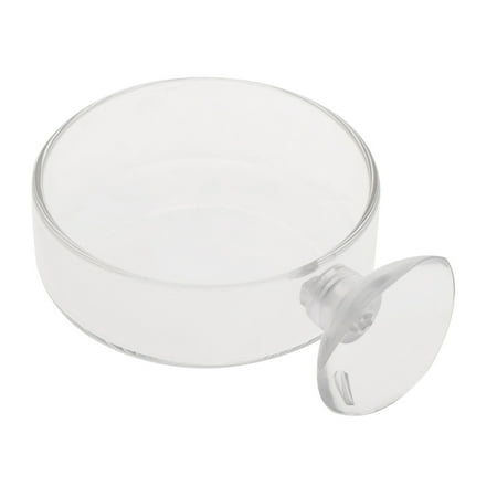 Tizuqe Shrimp Feeder Glass Feeding Dish Aquarium Fish for Tank Reptiles Round Clear Food Bowl with Suction Cups 2.4x0.7 Inch