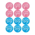 thumbnail image 1 of Pegatinas de equipo para niño y niña, pegatinas de equipo para niño o niña de 60/120 piezas, para decoración de fiesta de revelación de género, suministros para Baby Shower, etiqueta de caja de regalo, 1 of 4