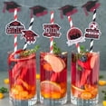 thumbnail image 5 of Graduation Paper Straw Crimson, 50pcs 2024 Graduation Party Striped Decorative Straws, Congrats Grad You Did It Graduation Themed Straws Graduation Cap Diploma Drinking Straws, 5 of 6