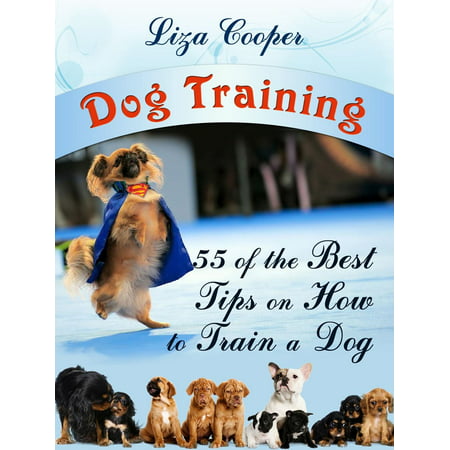 Dog Training: 55 of the Best Tips on How to Train a Dog - (Best Train The Trainer Courses)