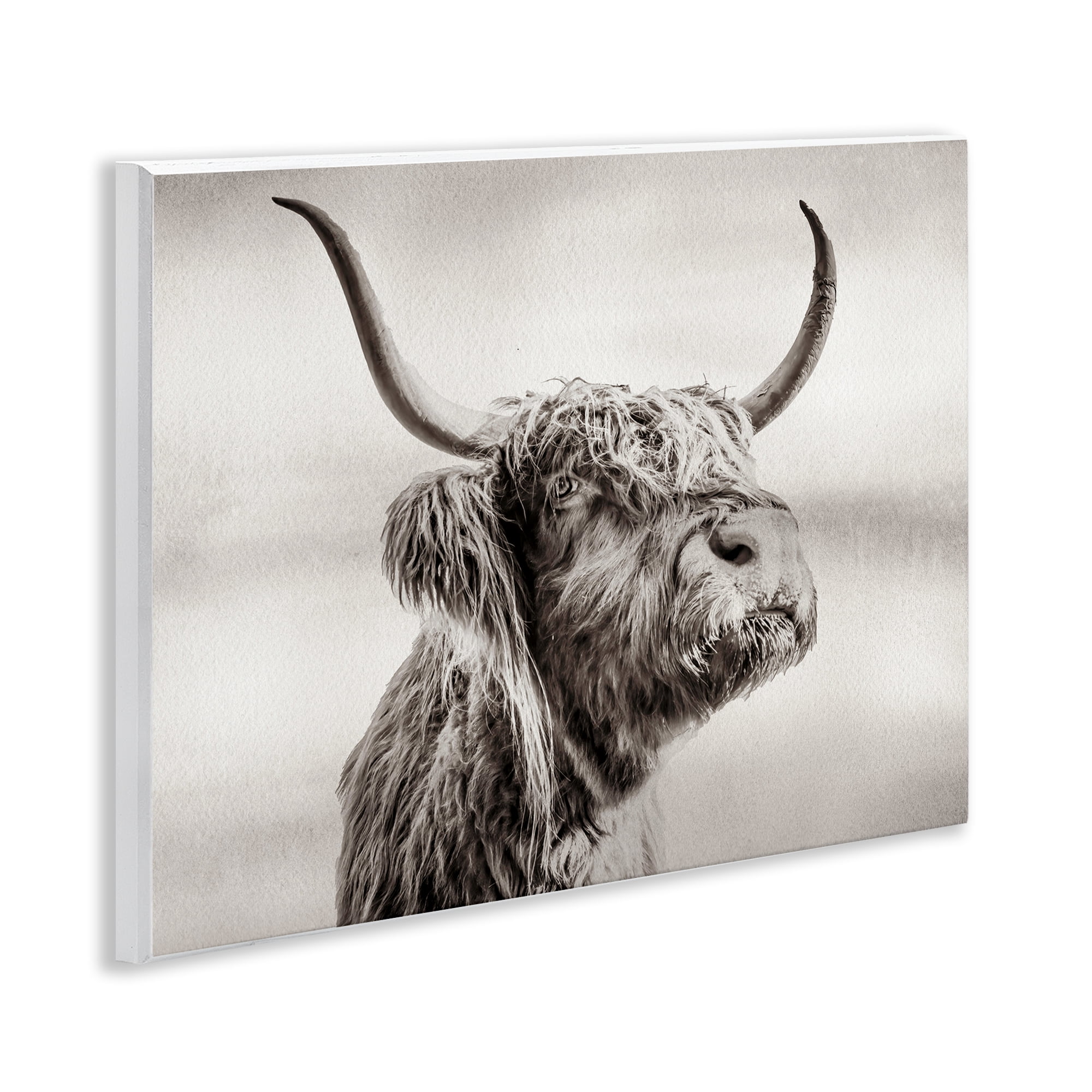 Stupell Industries Horned Highland Cow Gazing Wall Plaque Art, design by Julia Frost