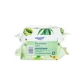 Equate Witch Hazel and Aloe Scent Flushable Wipes, 2 FlipTop Packs (96