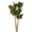 Basil, variant on Vickerman 16" Bleached Sora Pod attached to a Wood Stem.  Includes 5 Stems per Pack, Dried