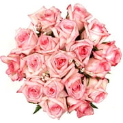 Beautiful Bi-Color Pink Roses