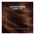 thumbnail image 4 of Tinte para cabello Wella Deluxe con ácido hialurónico 4.45 Castaño Cobrizo Caoba, 4 of 4