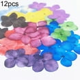 thumbnail image 2 of Flmtop 12Pcs Pressed Dried Flower Plant Specimen Epoxy Resin Phone Decor DIY Accessory, 2 of 11