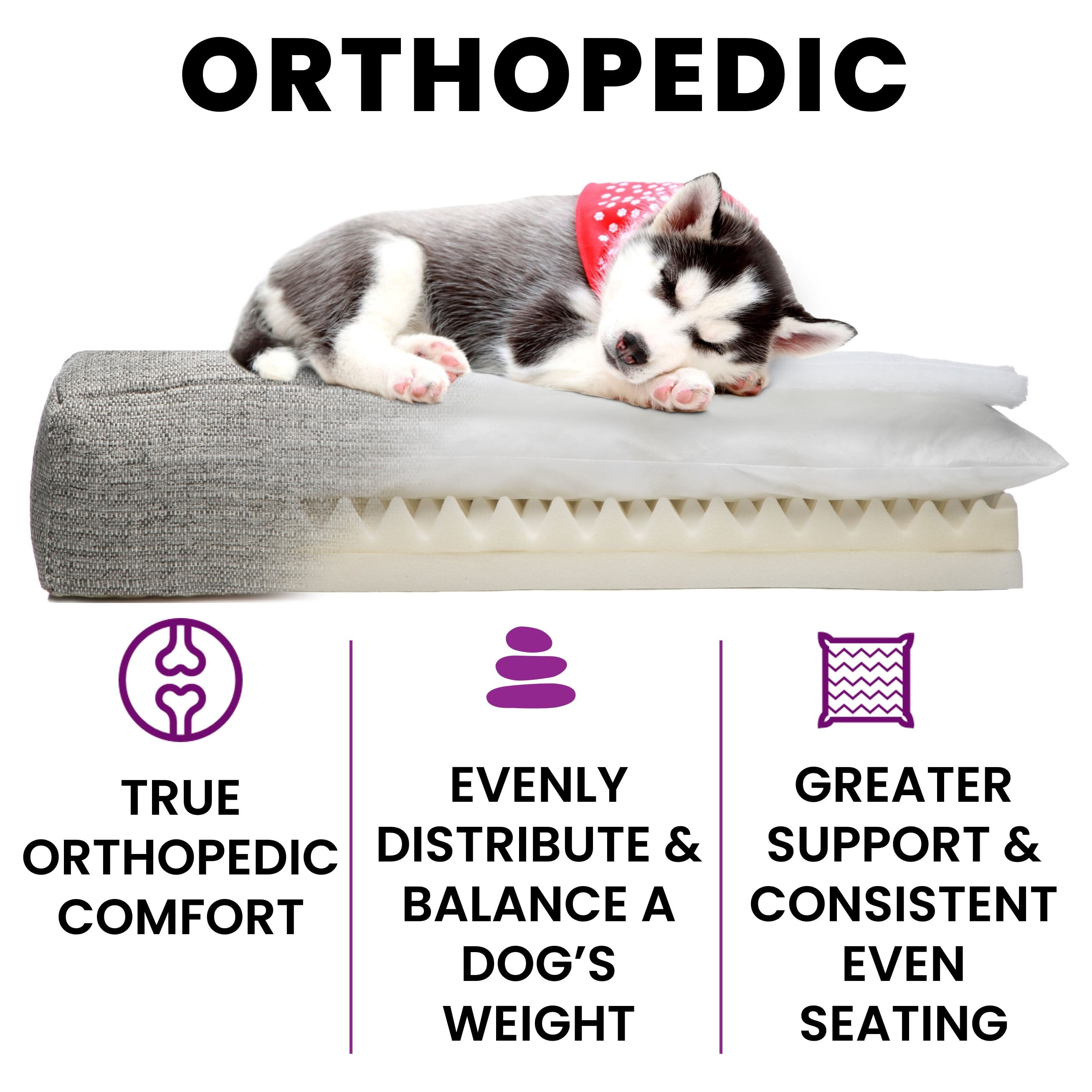 Club Nine Pets Metro Orthopedic Bed for Dogs, Medium, Metal.