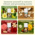 thumbnail image 3 of Mezclas de aceites esenciales Lifelines ClickWick, paquete de 4 unidades, Lush Earth, 3 of 7