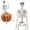 C, variant on 1PC 3FT Halloween Skeleton, Posable Full Body Decoration for Haunted House,C,35"