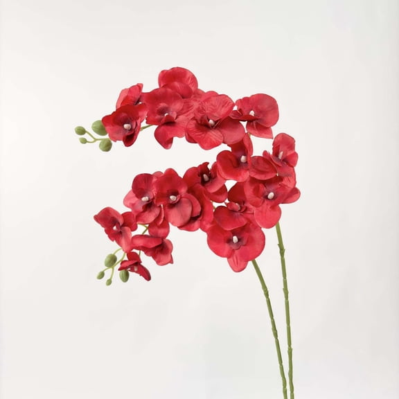 9-Head Artificial Phalaenopsis Orchid 69cm - Cloth & PU High Branch Flower for Living Room Table & Entrance Decor - Red