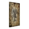 thumbnail image 2 of Trademark Fine Art 'Lone Tree' Canvas Art by LightBoxJournal, 2 of 3