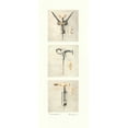 thumbnail image 2 of Amy Melious 18x40 Gallery Wrapped Canvas Wall Art Titled - Sommelier I, 2 of 4