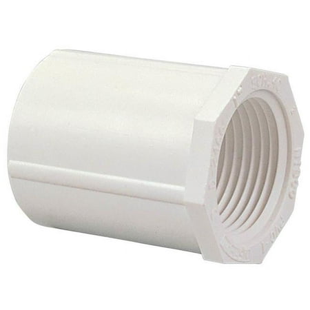 Nibco F01570D 1.5 in. PVC Female Adapter - White