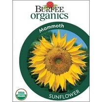 Burpee Organic Mammoth Sunflower Flower Seed, 1-Pack