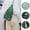 Green, variant on RYDCOT Genuine Leather Small Sling Bag, for Women Anti-theft Crossbody Chest Bags Fanny Packs for Travel with Data Hole