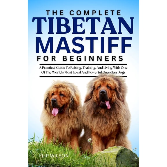 The Complete Tibetan Mastiff for Beginners: A Practical Guide To Raising, Training, And Living With One Of The World's M, (Paperback)
