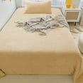 thumbnail image 1 of Elegants Soft Velvet Flannel Sheet Set Quality Cozy Warm Antis Statics Non Pilling Fuzzy Velvet Flannel Fleece Sheet Set, 1 of 6