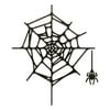 Thinlits Die Set 2PK Spider Web by Tim Holtz