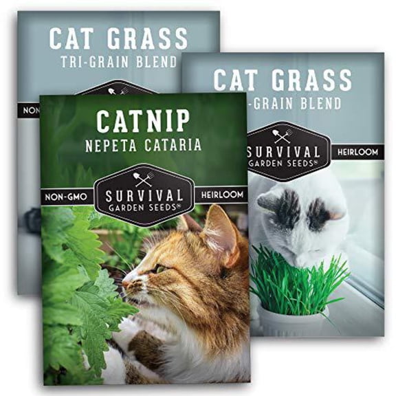 3 Packs of Cat Friendly Seeds - Full Sun Perennial Catnip Herb & Cat Grass