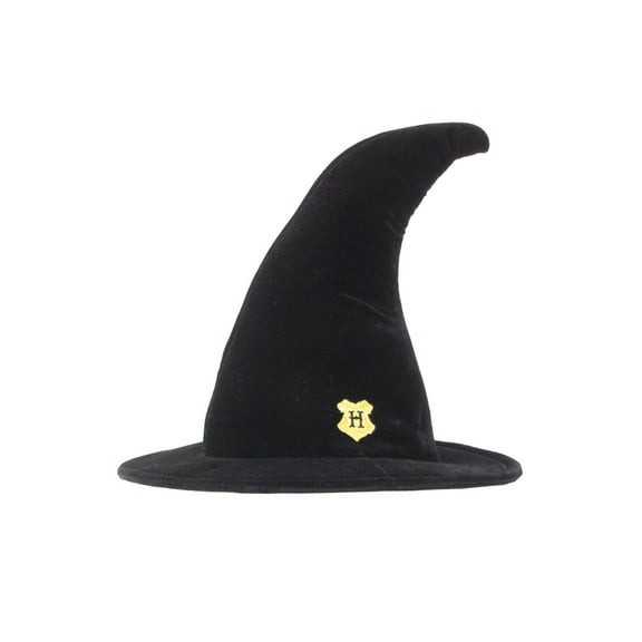 Hogwarts Student Witch Hat