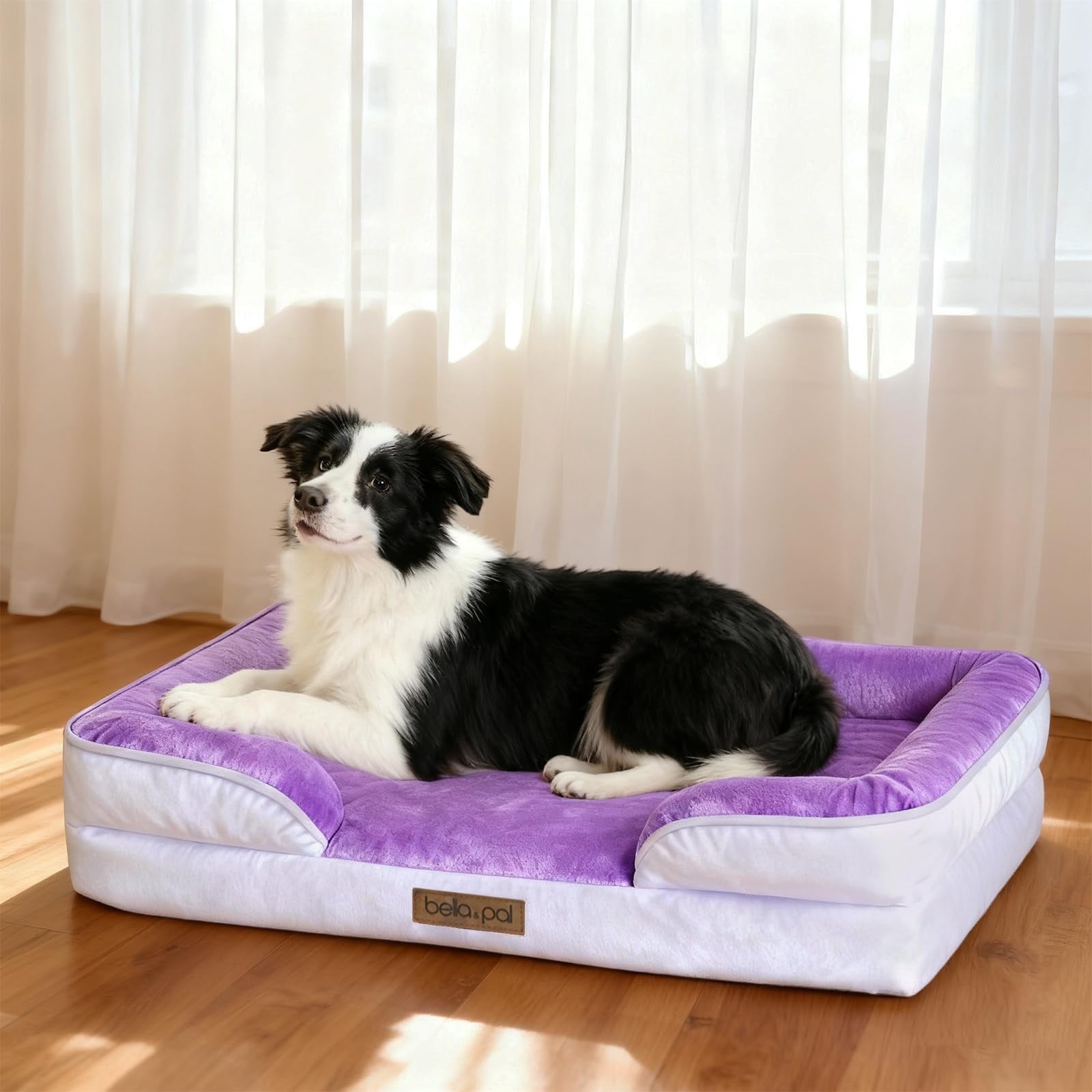 Bella & Pal Orthopedic Dog Bed, Large, Purple photo 3