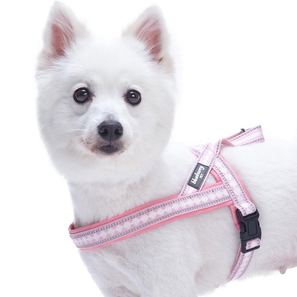 Blueberry Pet Soft & Comfy 3M Reflective Jacquard Padded Dog Harness, Chest Girth 20.5" - 26", Pink, Medium, Adjustable Harnesses for Dogs