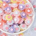 thumbnail image 2 of U8MO 10pcs 18mm Resin Plastic Crystal Flowers Flatback Beads Glue On Embellishments-Random Mixed, 2 of 3