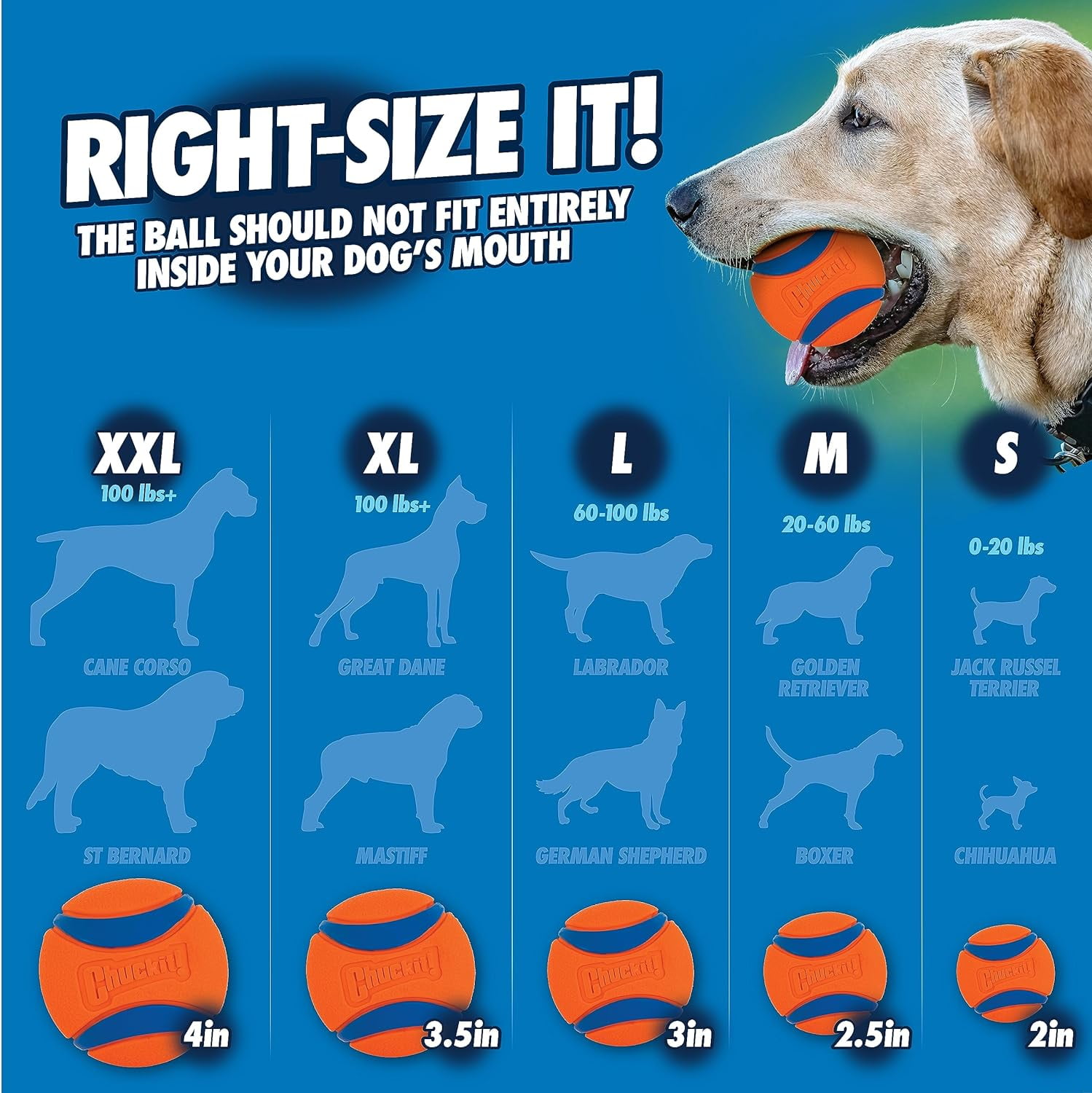 Chuckit Classic 26M Ball Launcher Fetch Dog Toy 26 Handle Includes Medium 2.5 Ball for Dogs 20 60 lb Walmart