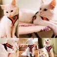 thumbnail image 4 of Arnés de verano para perros y gatos, correa ajustable, malla de poliéster, transpirable, reflectante, para perros pequeños y gatos, 4 of 5