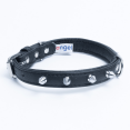 thumbnail image 4 of ROTTERDAM SPIKE Leather Dog Collar Single- Row Spikes, 4 of 4