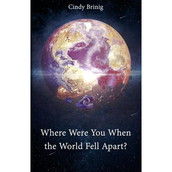 Where Were You When the World Fell Apart? (Paperback)