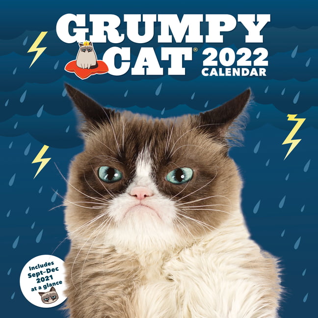 1st Class Post Great for Parties The Grumpy Cat Celebrity Face Mask 