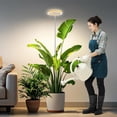 thumbnail image 1 of Grow Lights for Indoor Plants Full Spectrum Plant Lights for Indoor Growing with withTimer Color Modes Brightness Height Adjustable Wood Grain Plant Growing Lamp, 1 of 7