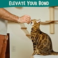 thumbnail image 3 of Clicker Training Starter Kit, 3 of 6