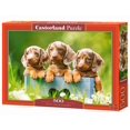 thumbnail image 1 of Rompecabezas Castorland B-53605 500 Piezas Lindos Dachshunds, 1 of 7