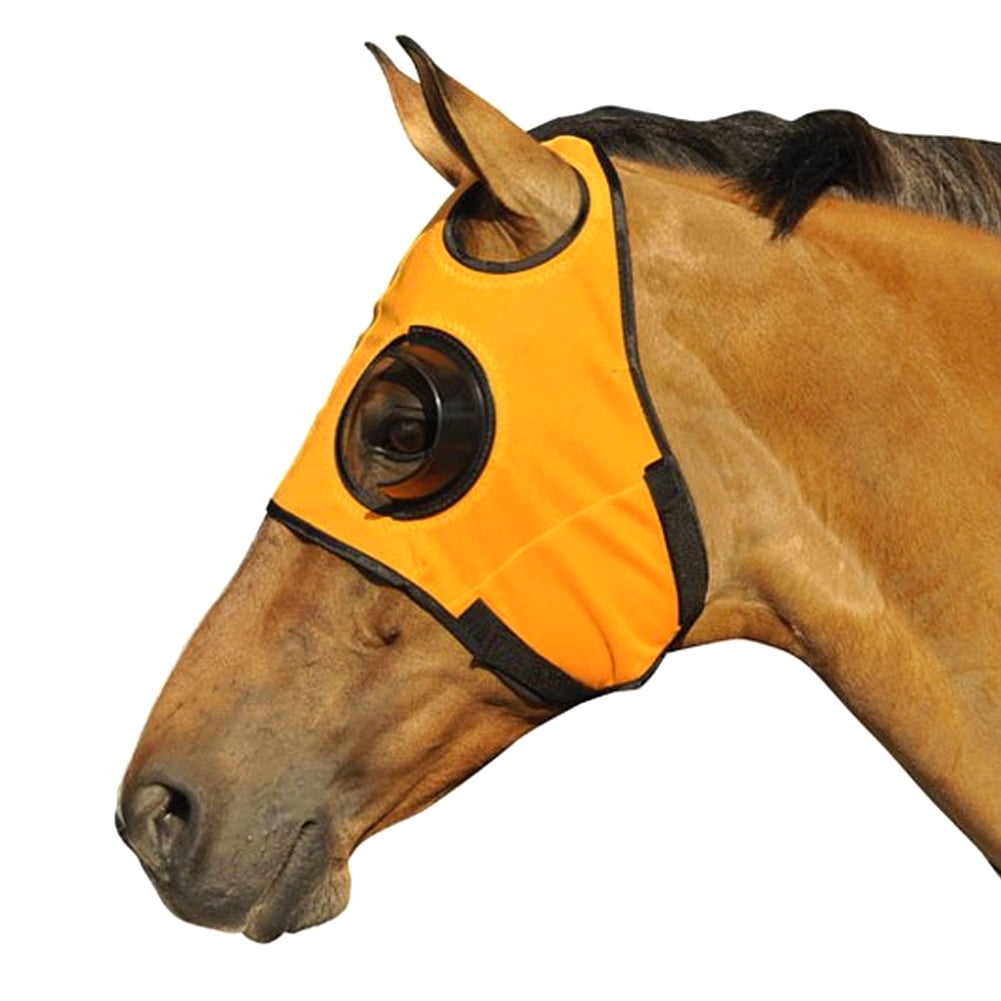 INTREPID INTERNATIONAL BLINKER HOOD CAN'T SEE BACK QUARTER CUP ORANGE