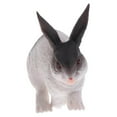 thumbnail image 4 of serony Realistic Animal Model Figure Rabbit Figurine Kid Educational Toy Home Decor, 4 of 9