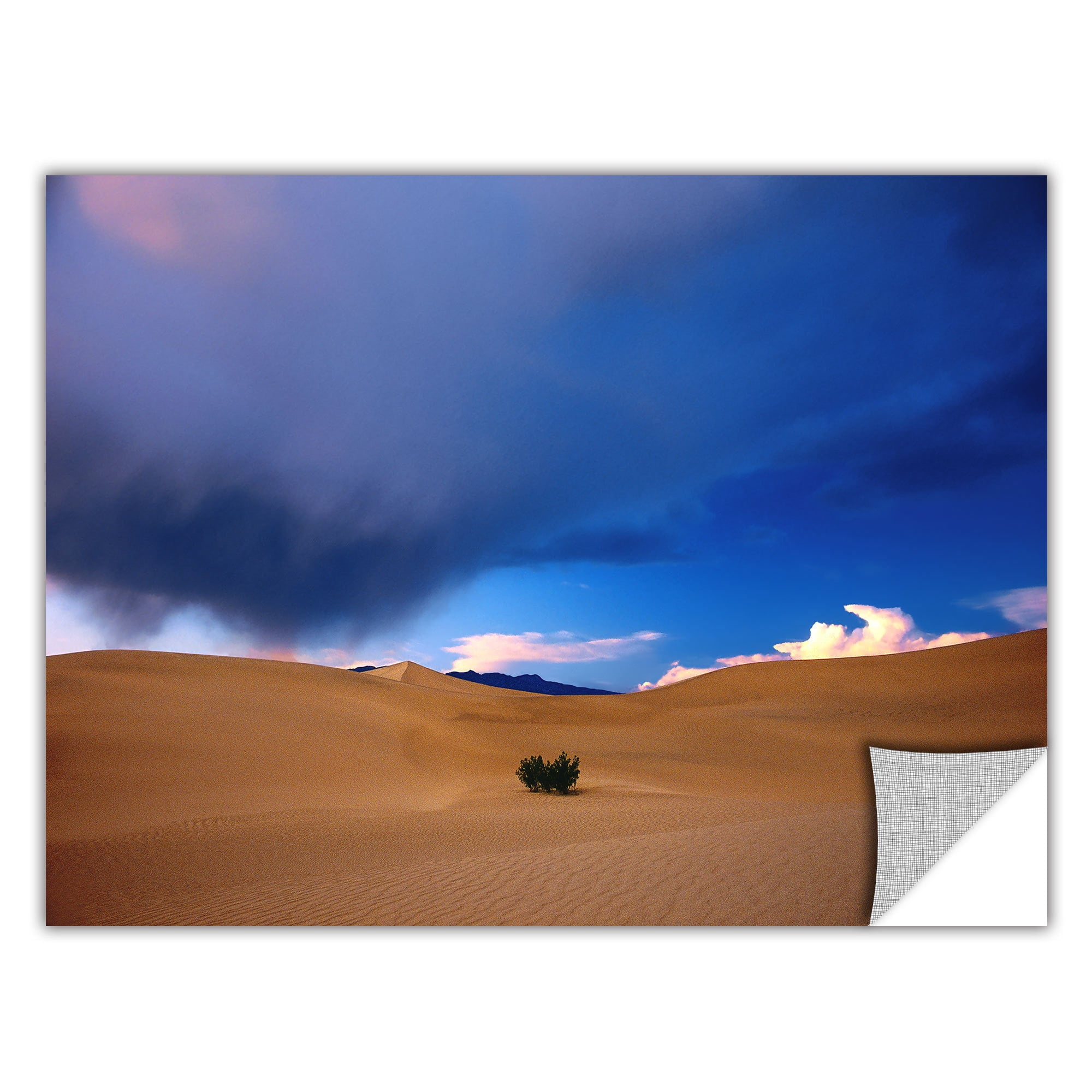 Dean Uhlinger Death Valley Winter, Art Appeelz Removable Wall Art Graphic